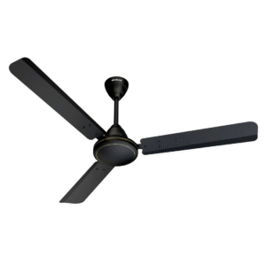 Regular Fan